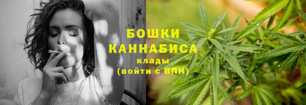 спиды Богородск