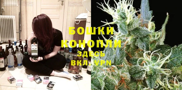 спиды Богородск